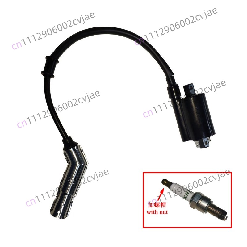 ZT310-V X T R1 2 Motorcycle Hi - огляд і ціна Motorcycle Spark Plug