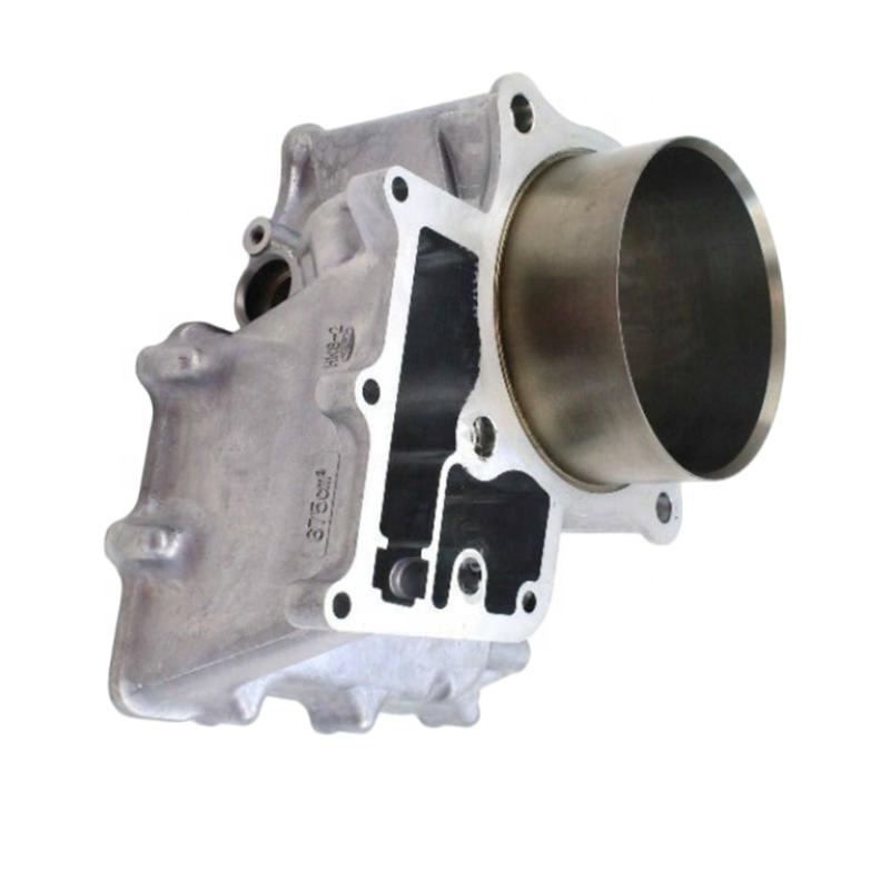 TG55 Parts: Motorcycle Engine  - огляд і ціна Motorcycle Engine Kit